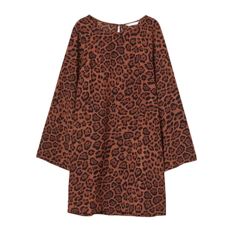 H&M wide-sleeve dress